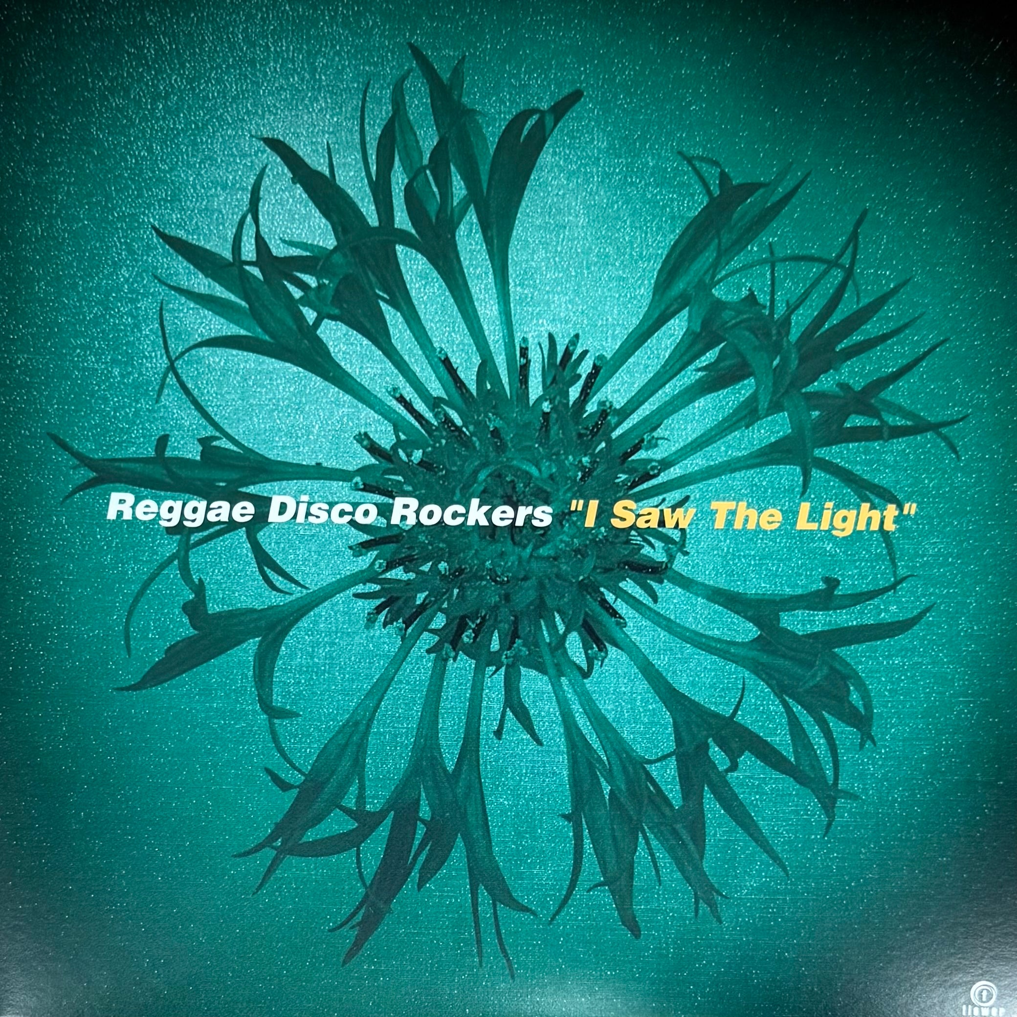 Reggae Disco Rockers - I Saw The Light b/w Remix (7")