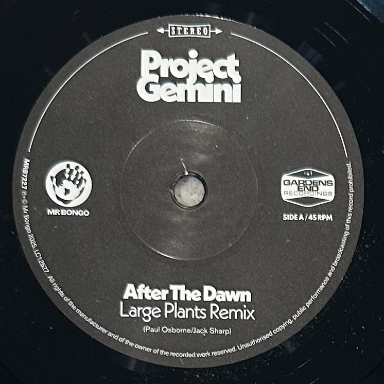 Project Gemini - After The Dawn (Remix) b/w Darkness Rising
