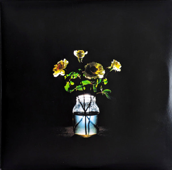 Billy Strings - Renewal (2LP)