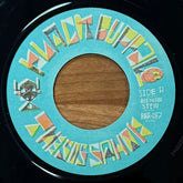 Thesis Sahib - Bee Horn Stew b/w Bear Car