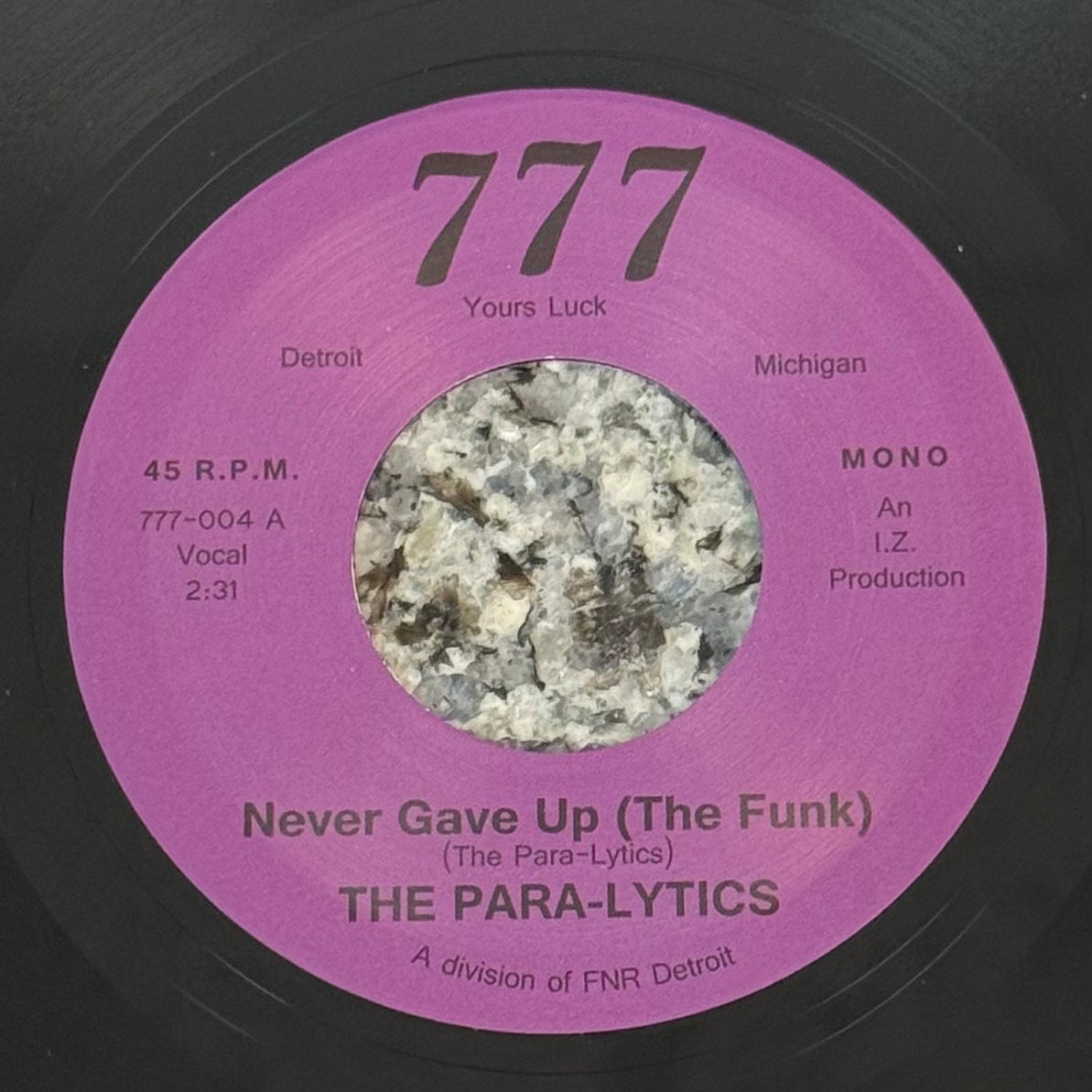 Para-lytics, The - Never Gave Up b/w Inst