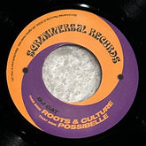 DJ Cat - Roots & Culture b/w Possibelle