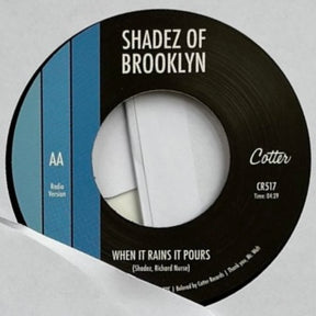 Shadez of Brooklyn - Change b/w When It Rains It Pours