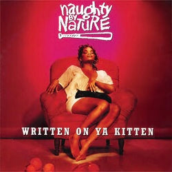 Naughty By Nature - Hip Hop Hooray b/w Written On Ya Kitten (Remix)