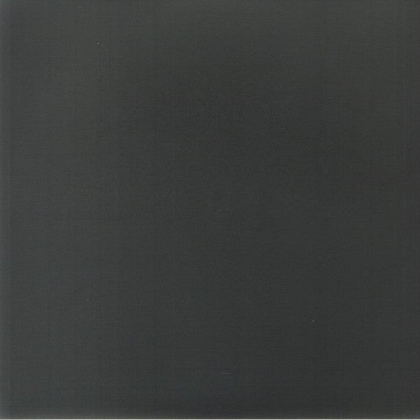 Boris With Merzbow - 4092001 (Silver Vinyl) (LP)