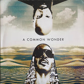 Amerigo Gazaway - Common Wonder (2LP)