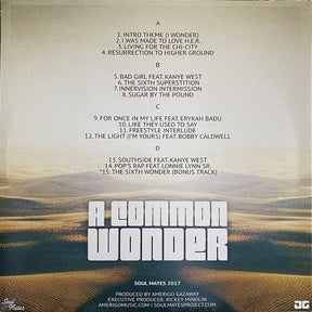 Amerigo Gazaway - Common Wonder (2LP)