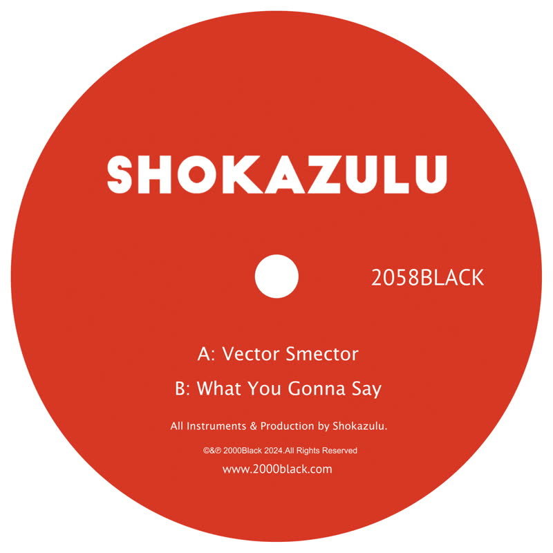 Shokazulu - Vector Smector b/w What You Gonna Say