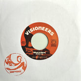 Visioneers - What It Mean (Battle Cut) b/w Today (Dub Version)